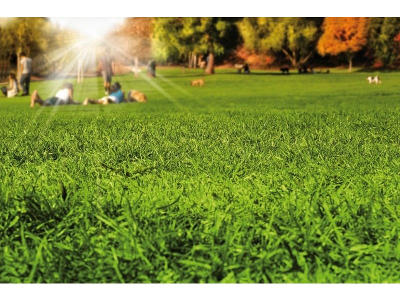 1-3/5 Dunure Court, Balwyn VIC 3103