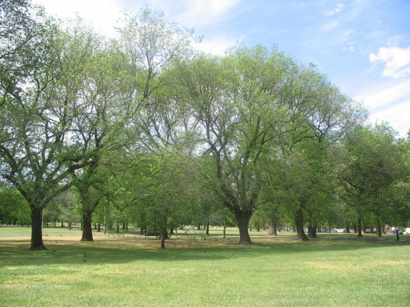 8/201 Gold Street, Clifton Hill VIC 3068