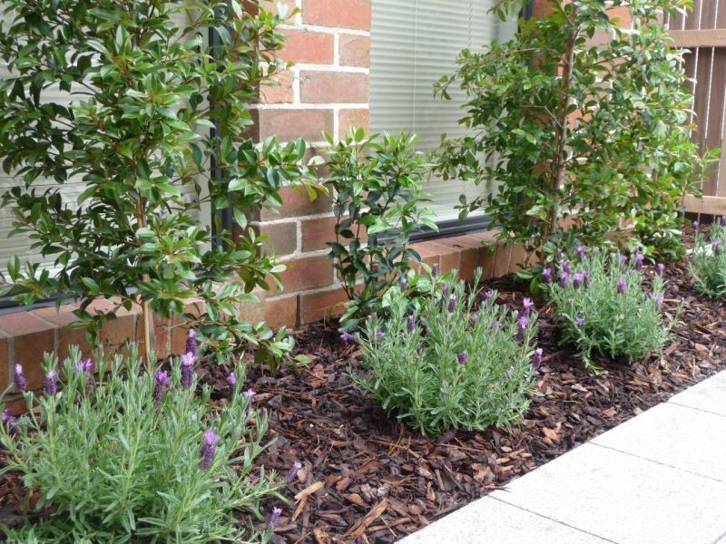 74 McDougall Drive, Melbourne VIC 3000