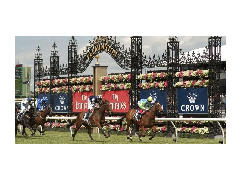 74 McDougall Drive, Melbourne VIC 3000