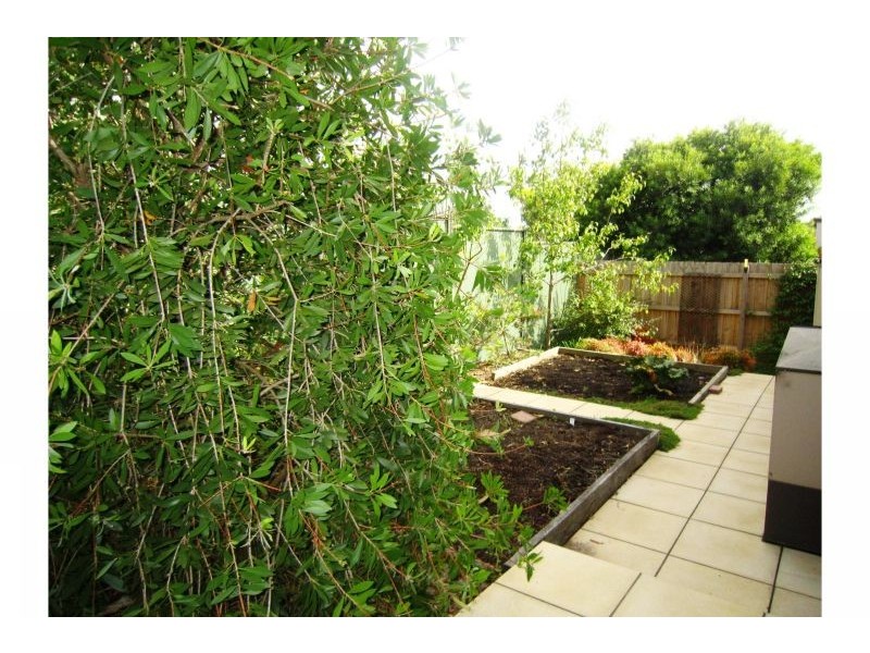 6/48 Orchard Cres, Mont Albert North VIC 3129