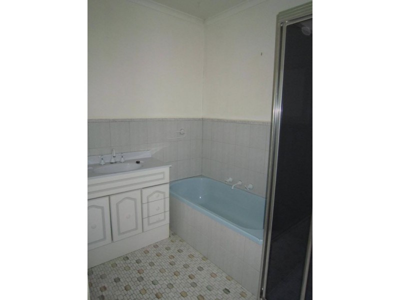 3/10 Hotham Street, Mont Albert VIC 3127