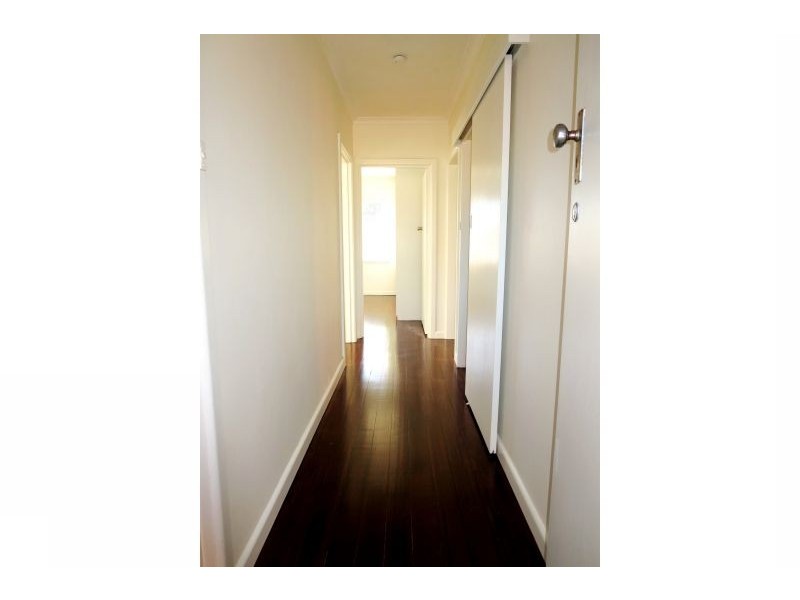 1A Beech Street, Surrey Hills VIC 3127