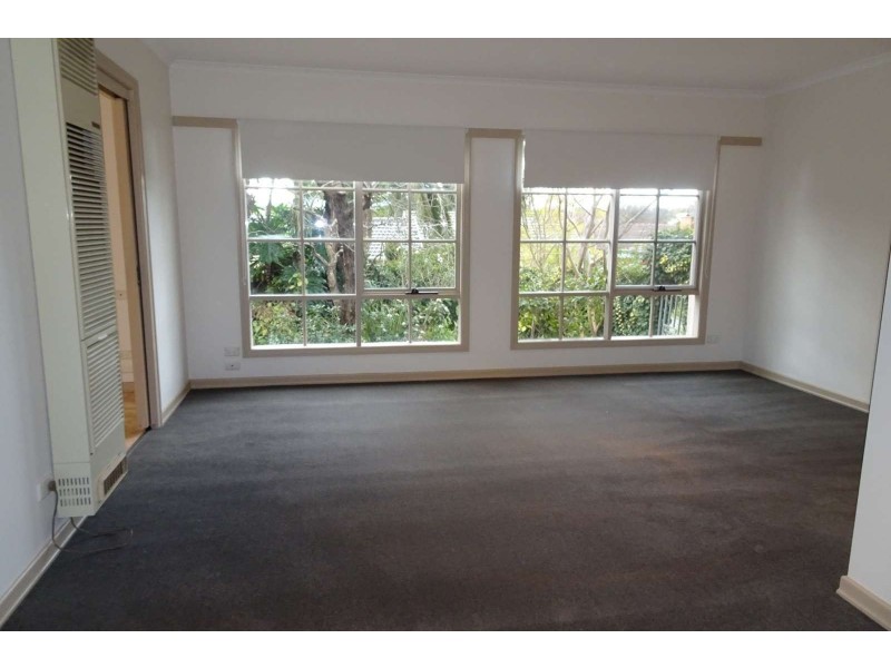 1/4 Tonkin Street, Balwyn VIC 3103