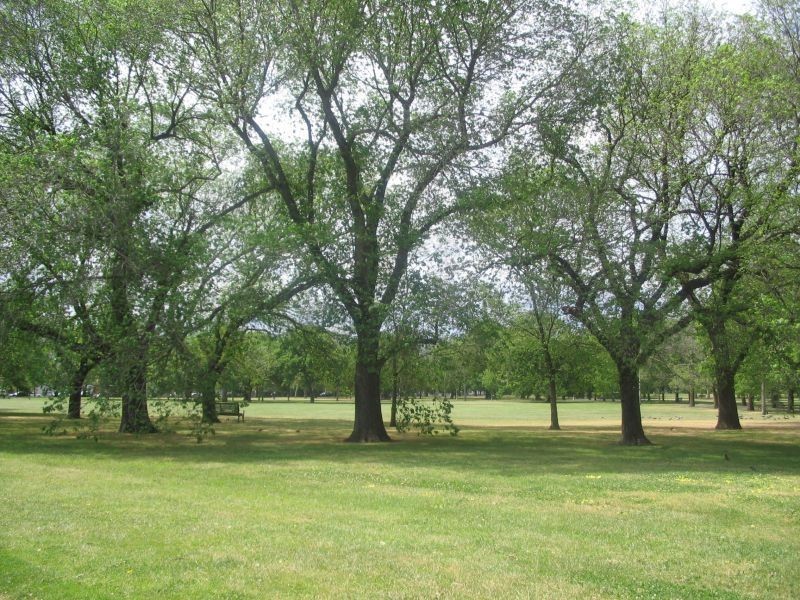 11/201 Gold Street, Clifton Hill VIC 3068