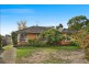 19 Baratta St, Blackburn South VIC 3130