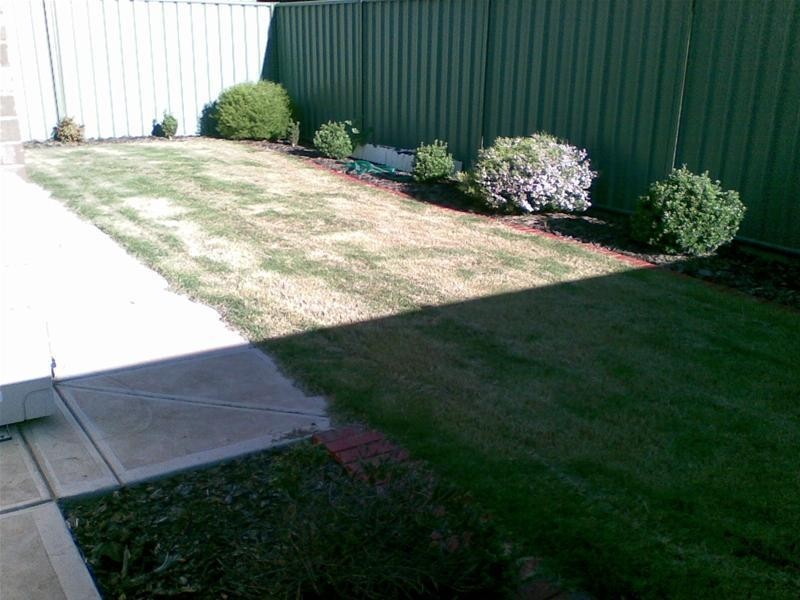 3 Poplar Crescent, Mawson Lakes SA 5095