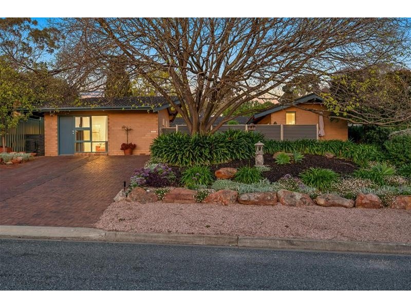 7 Condada Drive, Banksia Park SA 5091