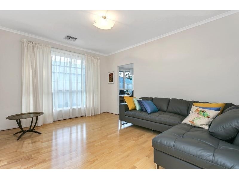 16 Swallow Avenue, Modbury Heights SA 5092