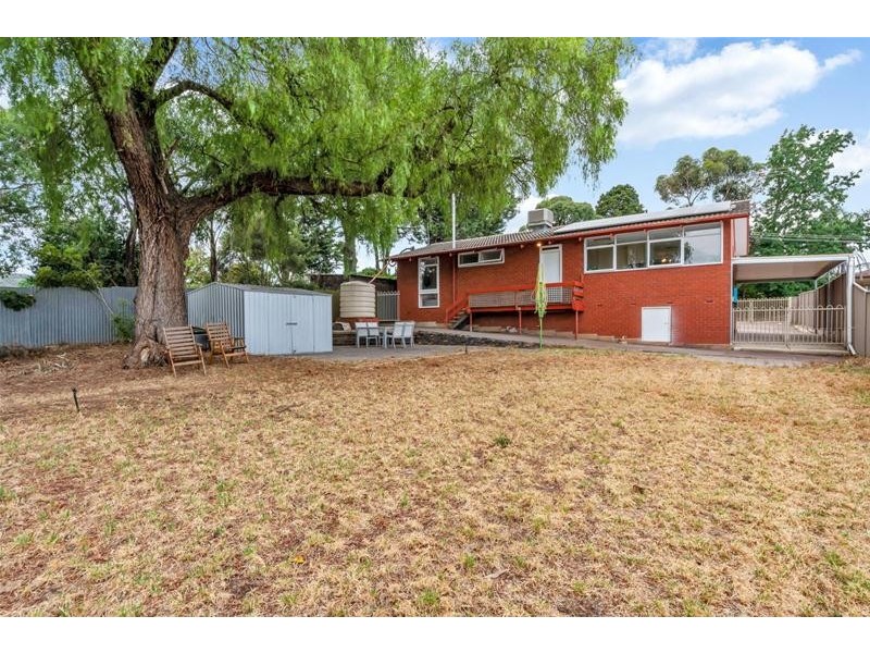 14 Launceston Avenue, Banksia Park SA 5091