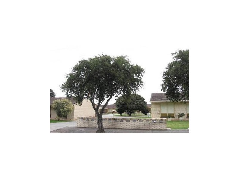 13/4 Frick Avenue, Firle SA 5070