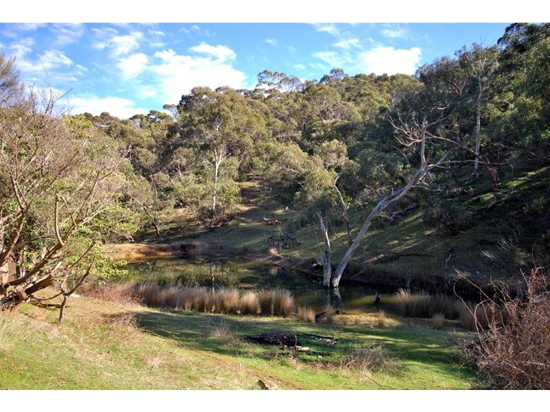 147 Richardson Road, Inglewood SA 5133