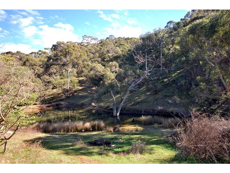 147 Richardson Road, Inglewood SA 5133