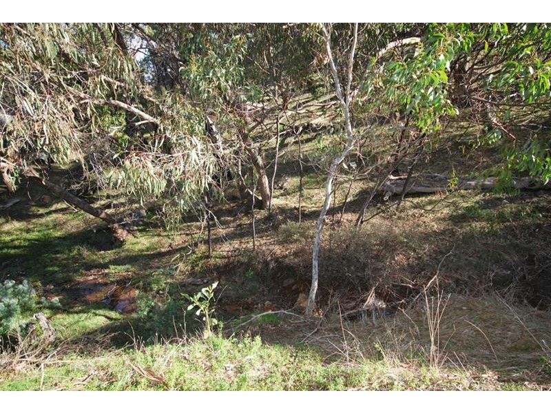 147 Richardson Road, Inglewood SA 5133