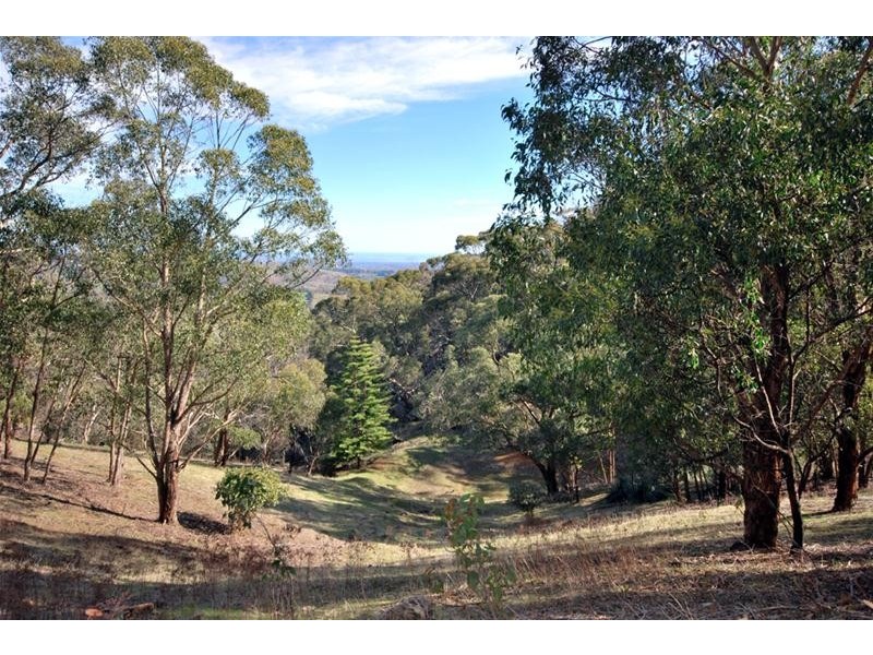 147 Richardson Road, Inglewood SA 5133