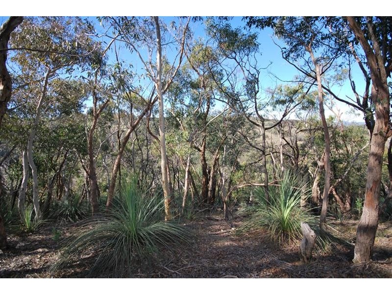 147 Richardson Road, Inglewood SA 5133