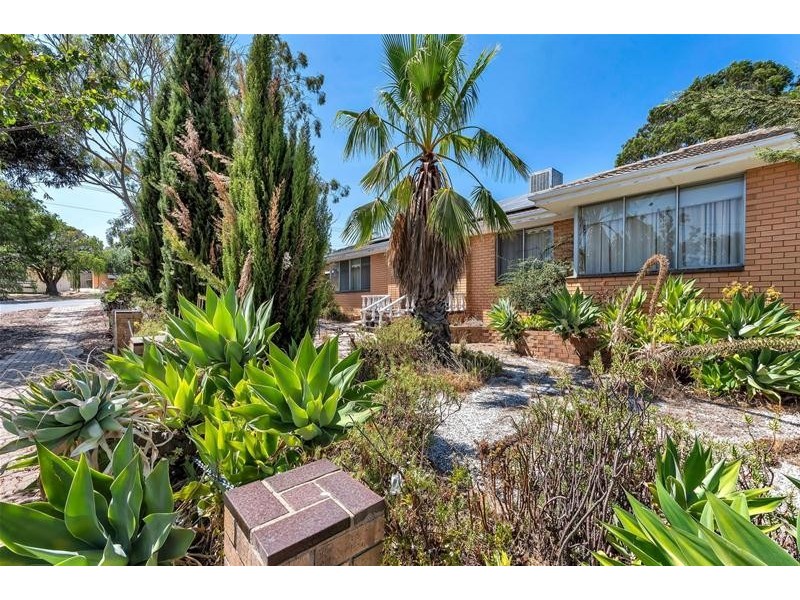 67 Dewer  Avenue, Ridgehaven SA 5097