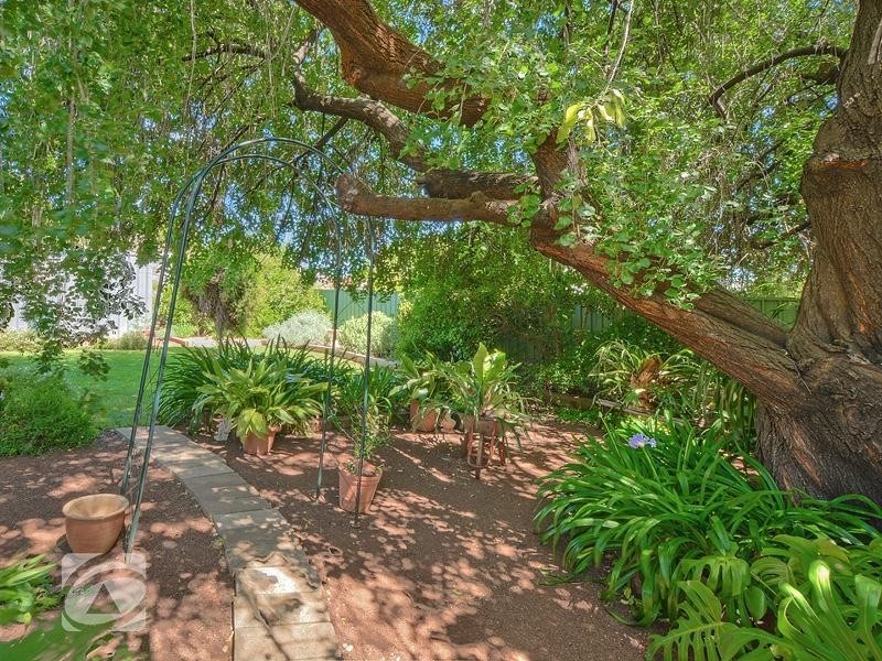 348 Milne Road, Modbury Heights SA 5092