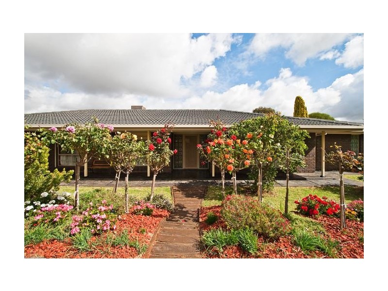 59 Park Lake Drive, Wynn Vale SA 5127
