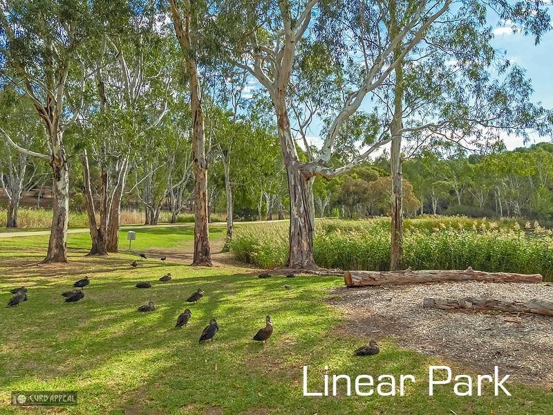 Lot/5 Pecan Close, Highbury SA 5089