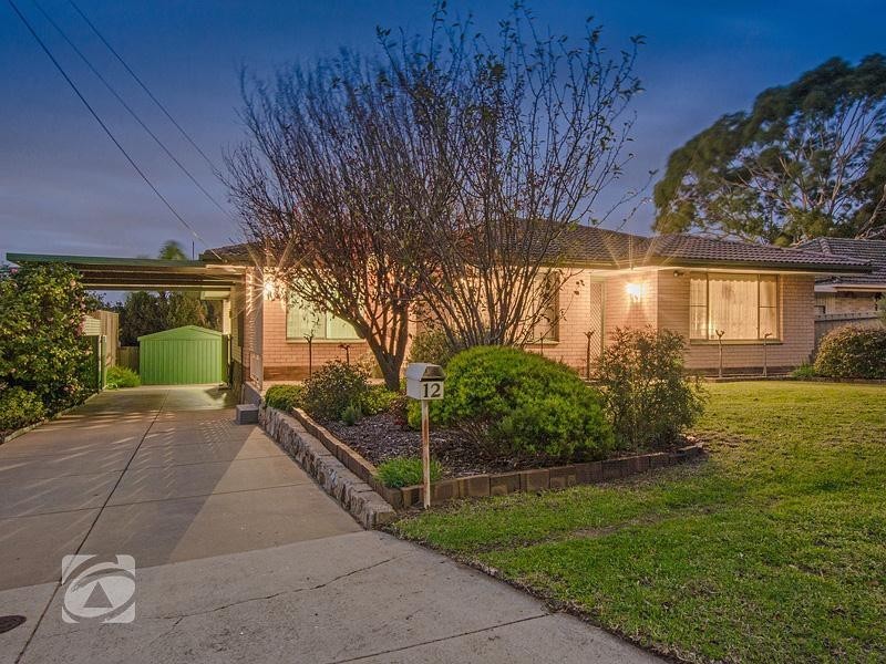 12 Barns Avenue, Highbury SA 5089
