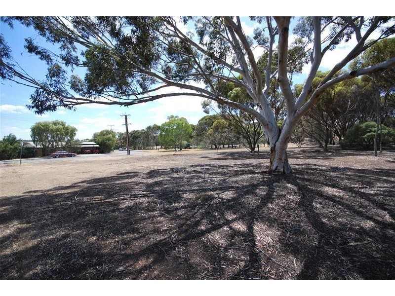 Lot 7 Welloch Street, Modbury SA 5092