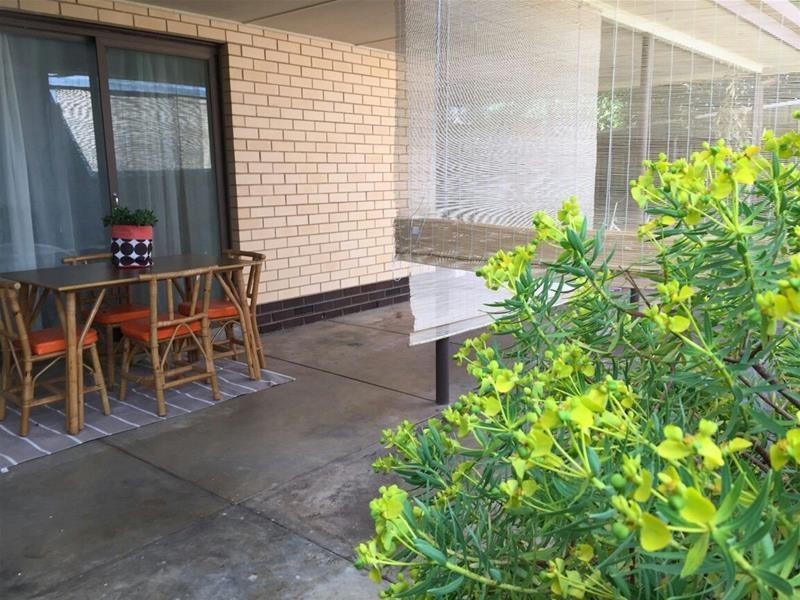 19 Mintanta Drive, Banksia Park SA 5091