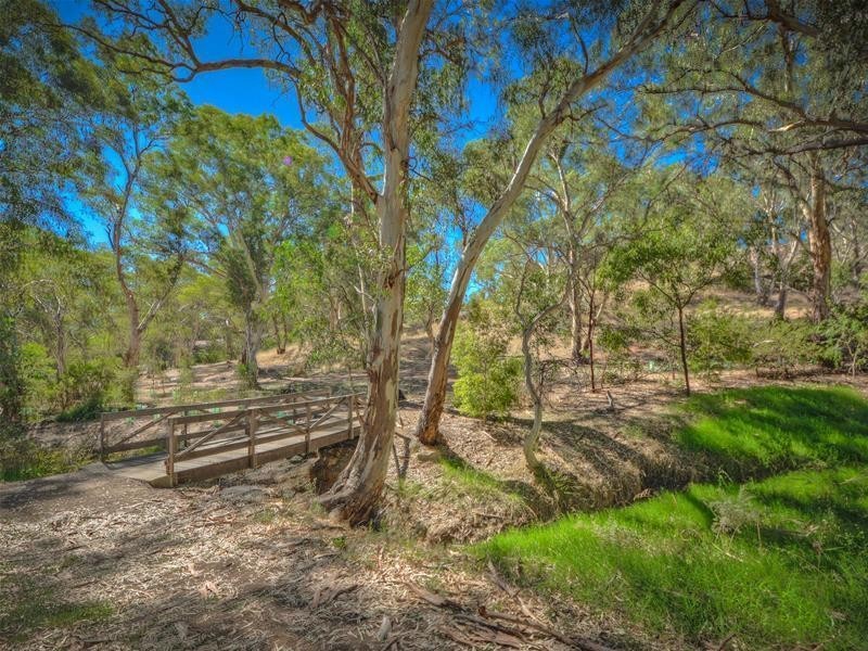 13 Persimmon Grove, Golden Grove SA 5125