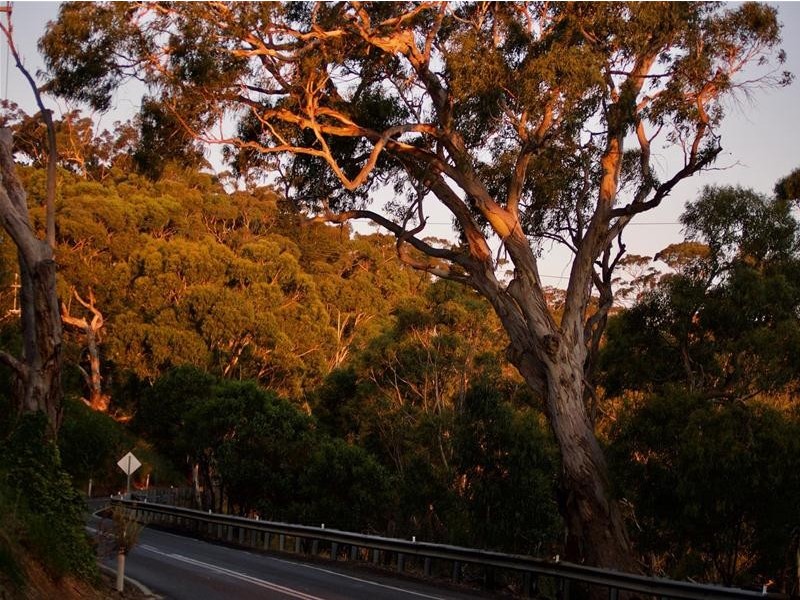 749 Greenhill Road, Greenhill SA 5140