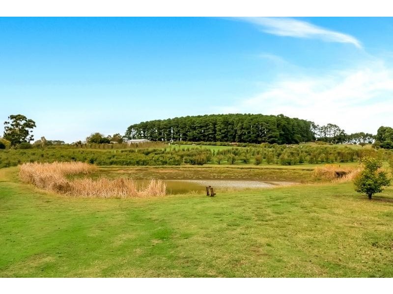 561A Paracombe Road, Paracombe SA 5132