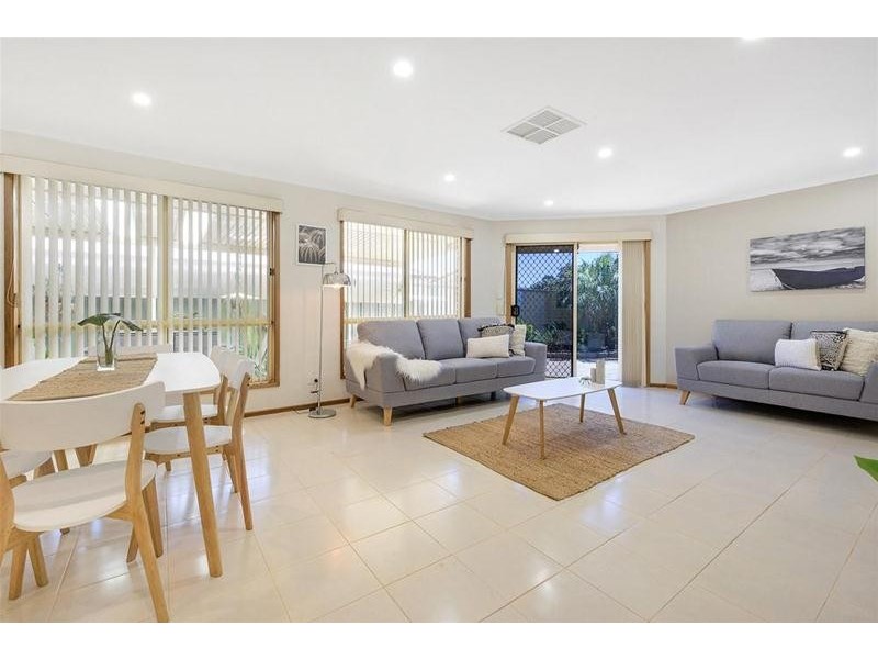 55 Homestead Avenue, Walkley Heights SA 5098