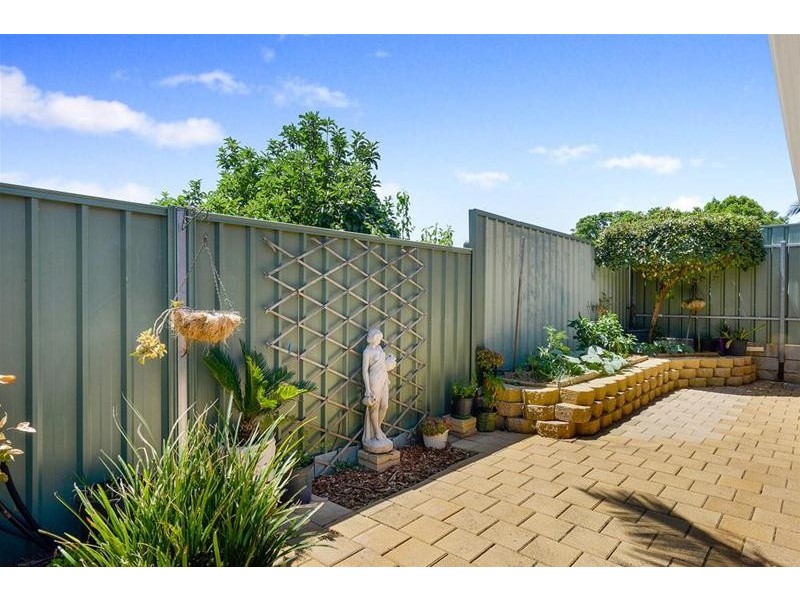 55 Homestead Avenue, Walkley Heights SA 5098