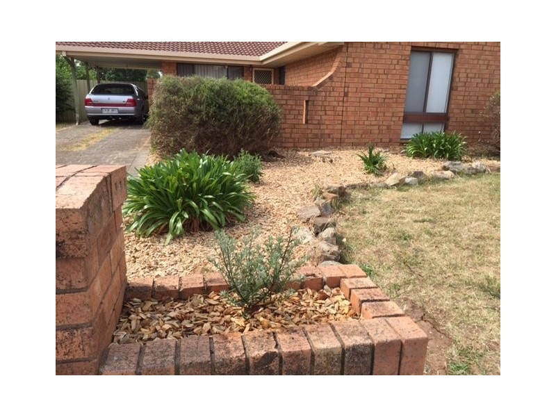 20 Zanoni Crescent, Surrey Downs SA 5126