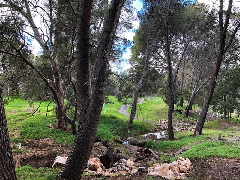 19 Boundy Road, Highbury SA 5089