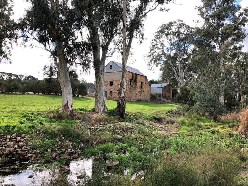 19 Boundy Road, Highbury SA 5089