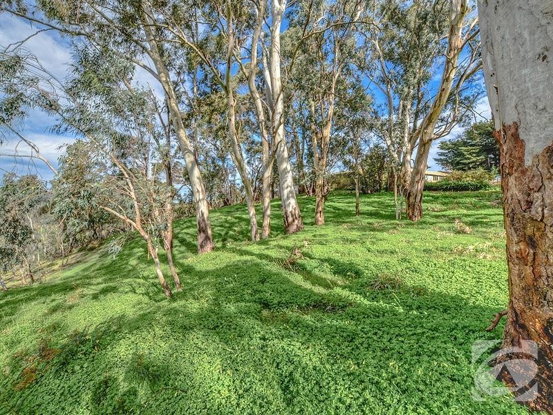 249 Tilmouth Road, Paracombe SA 5132