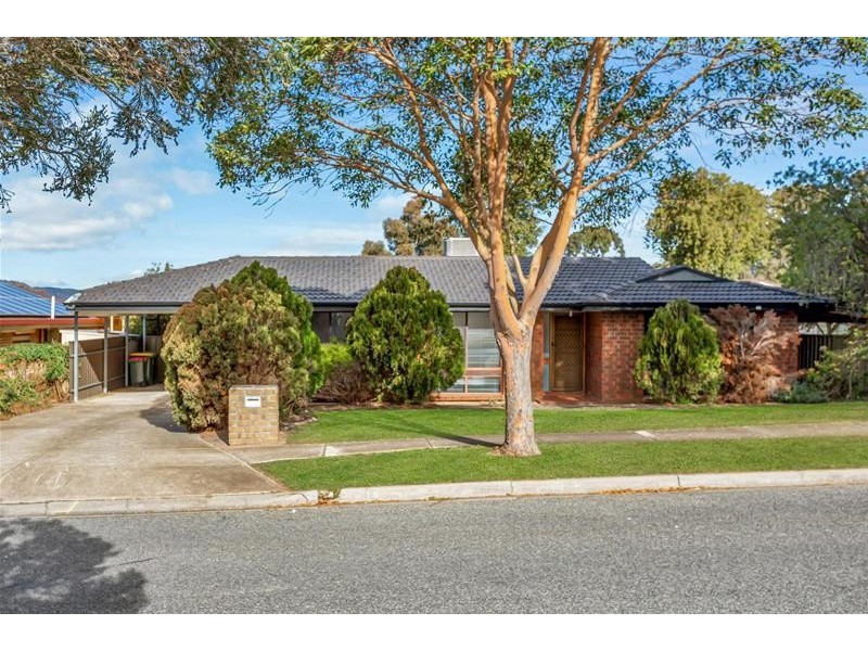 19 Brolga Street, Modbury Heights SA 5092