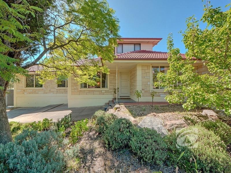 11 Crafter Street, Fairview Park SA 5126