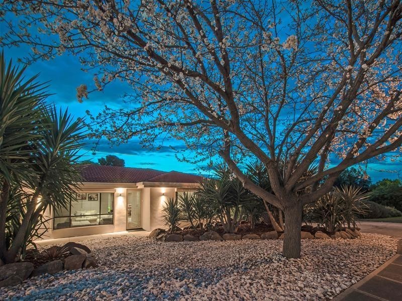 11 Palmyra Street, Modbury Heights SA 5092