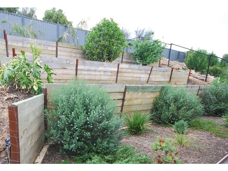 42 Franklin Avenue, Mawson Lakes SA 5095