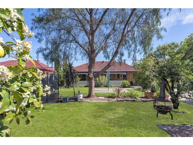 44 Whelan Avenue, Camden Park SA 5038