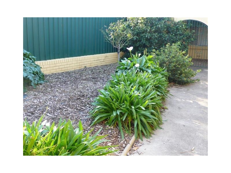 9 Farm Drive, Redwood Park SA 5097