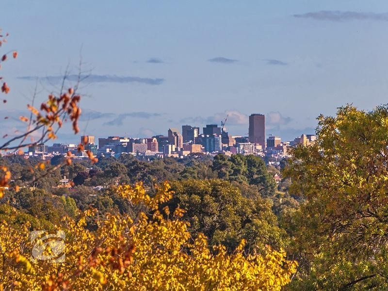 8 Donald Street, Highbury SA 5089