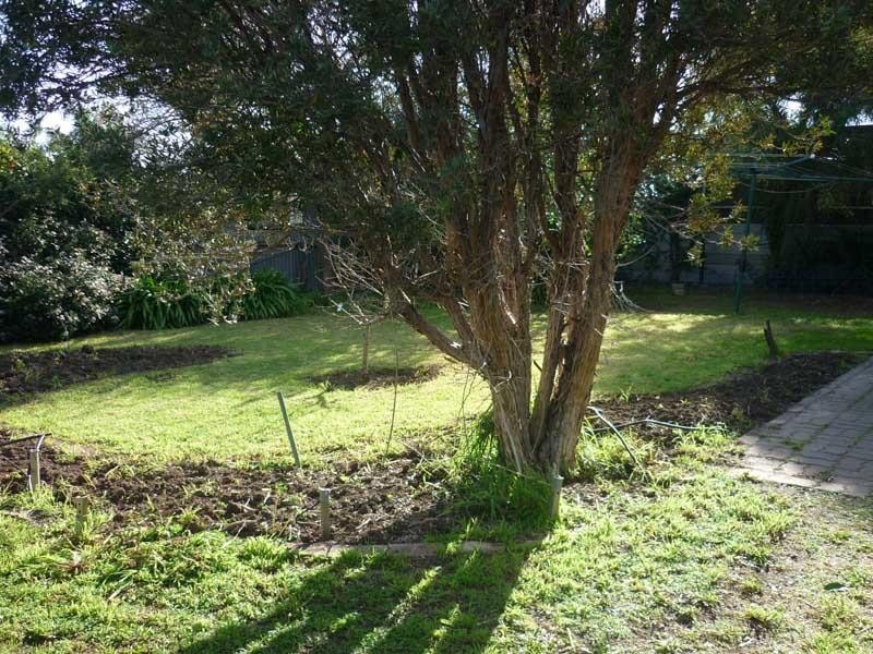 18 Waikerie Avenue, Hope Valley SA 5090