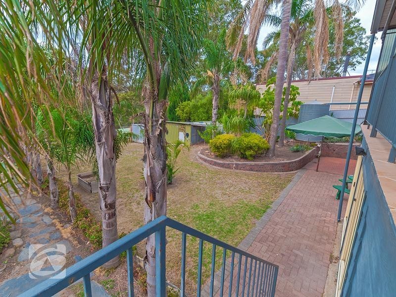 31 Rednall Street, Tea Tree Gully SA 5091