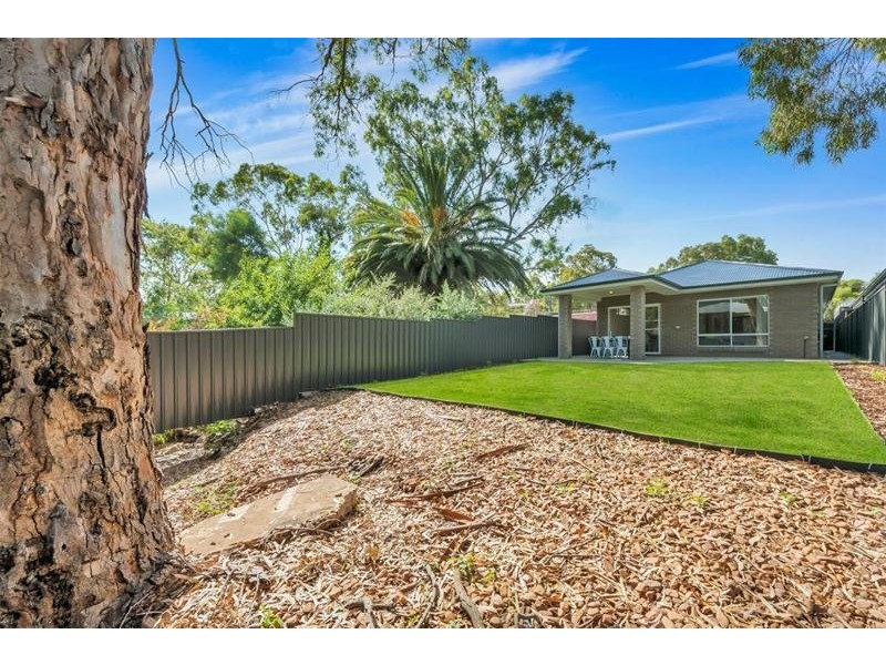 9 Steventon Drive, Banksia Park SA 5091