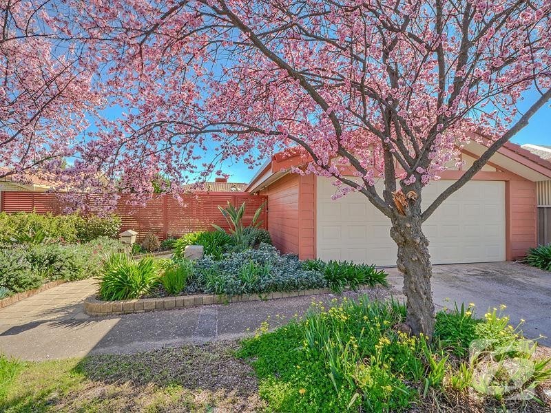 13 Donaldson Drive, Paradise SA 5075