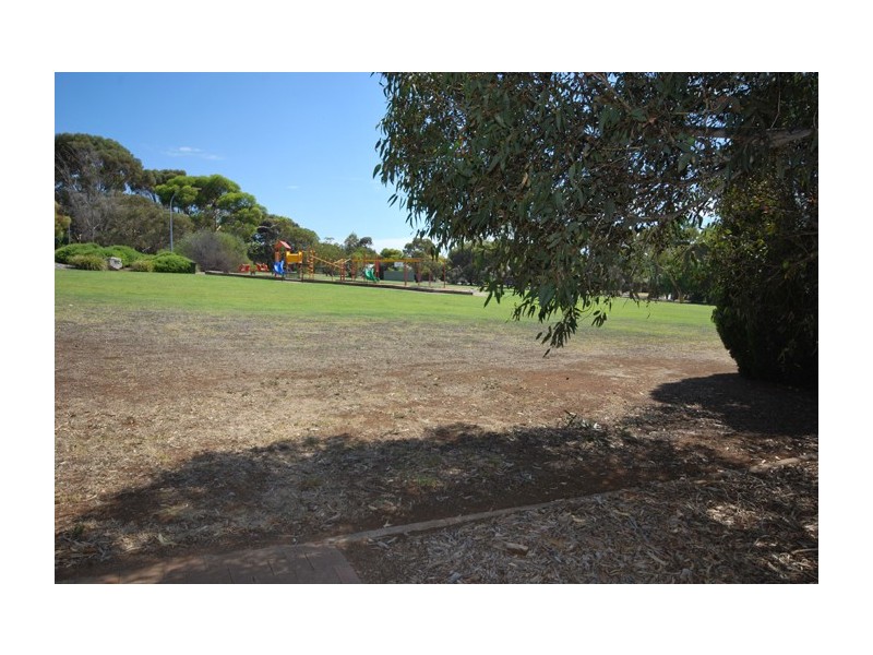 16 Cockatoo Street, Modbury Heights SA 5092