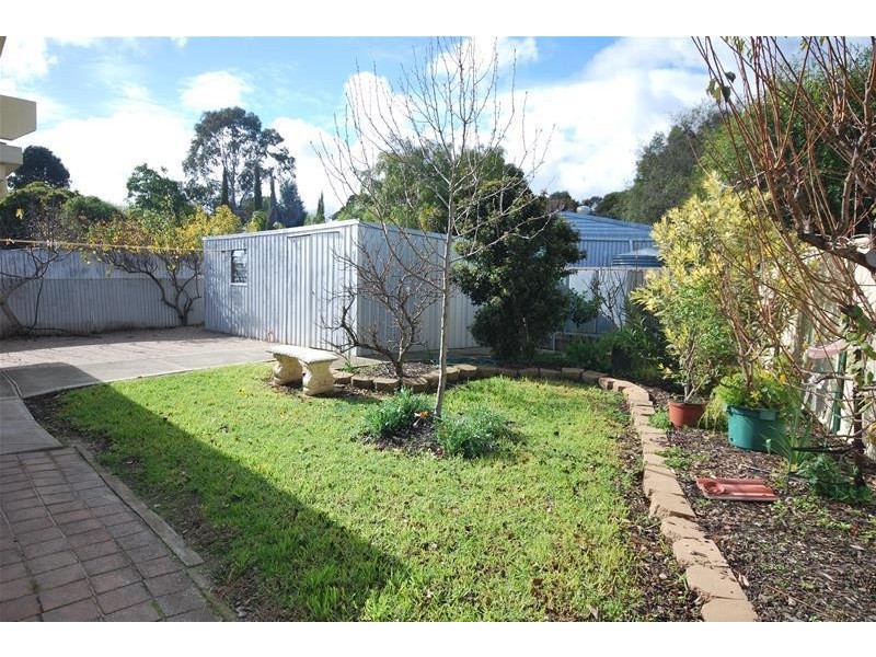 49 Cassia Street, Surrey Downs SA 5126