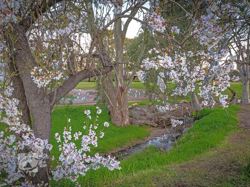 33 De Castella Avenue, Wynn Vale SA 5127